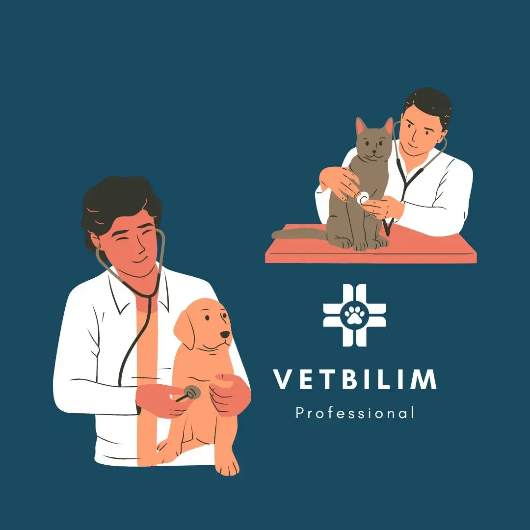 VetBilim Professional